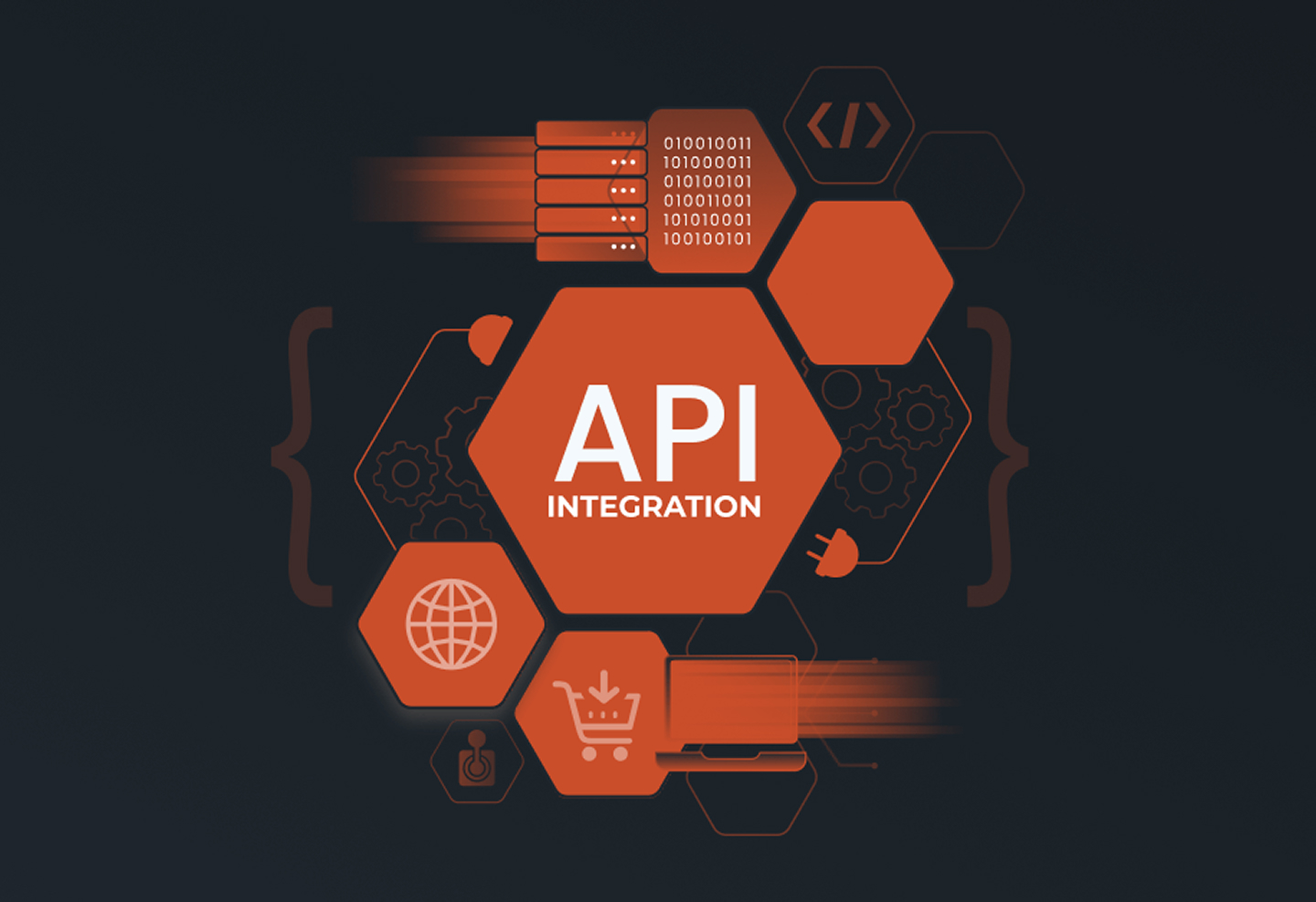 Custom API & Middleware Integrations